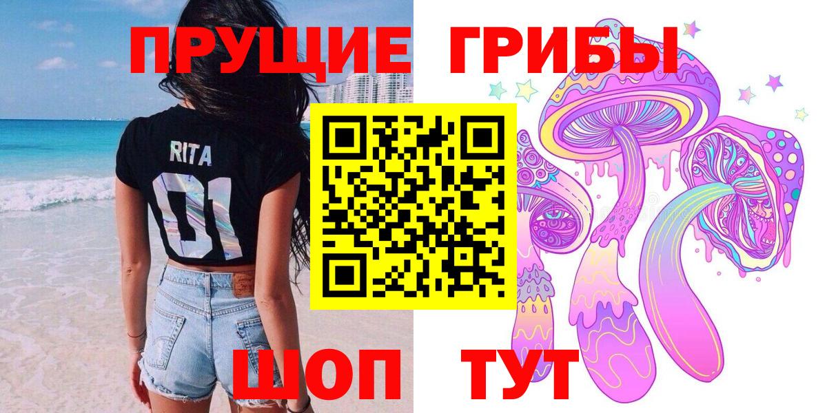 Псилоцибиновые грибы мицелий Егорьевск
