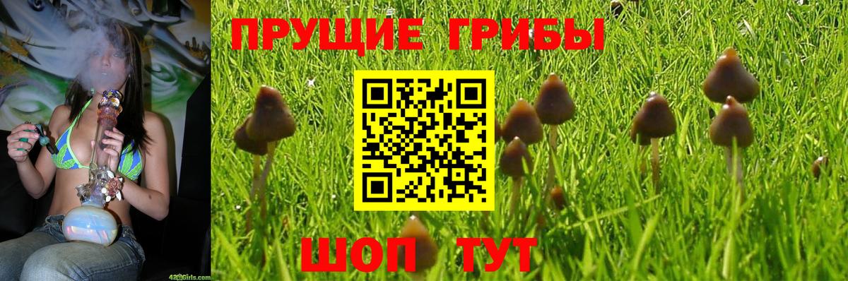 Егорьевск  Галлюциногенные грибы прущие грибы  Вход с VPN 